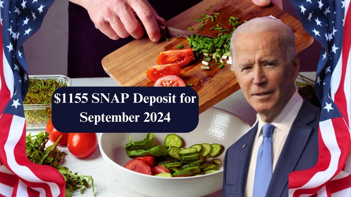 $1155 SNAP Deposit for September 2024: Verify Food Stamp Eligibility and Payment Schedule