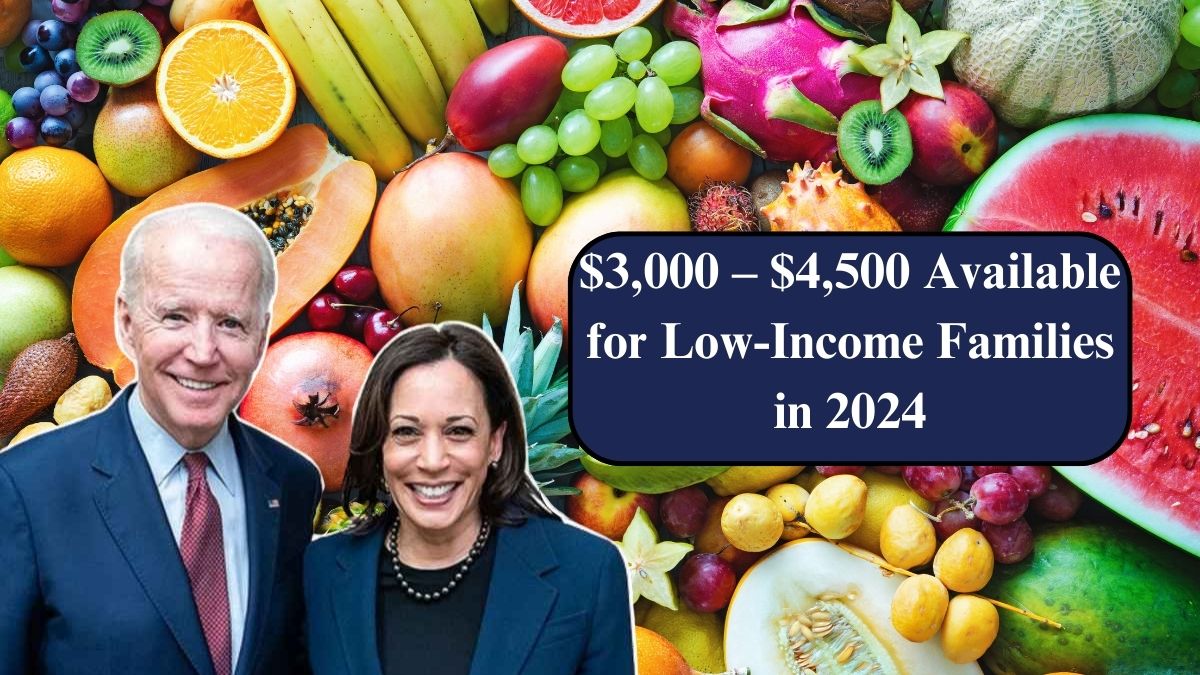 $3,000 – $4,500 Available for Low-Income Families in 2024: SNAP, EBT, and Food Stamps Eligibility