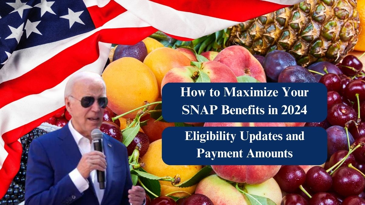 How to Maximize Your SNAP Benefits in 2024: Eligibility Updates and Payment Amounts