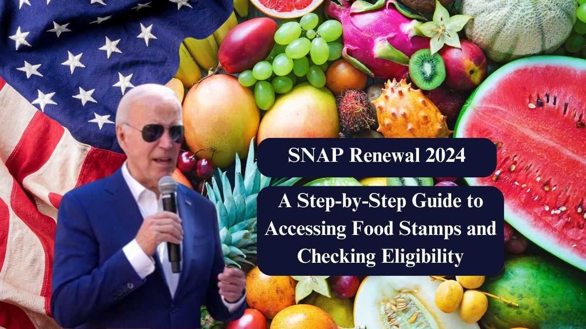 SNAP Renewal 2024: A Step-by-Step Guide to Accessing Food Stamps and Checking Eligibility